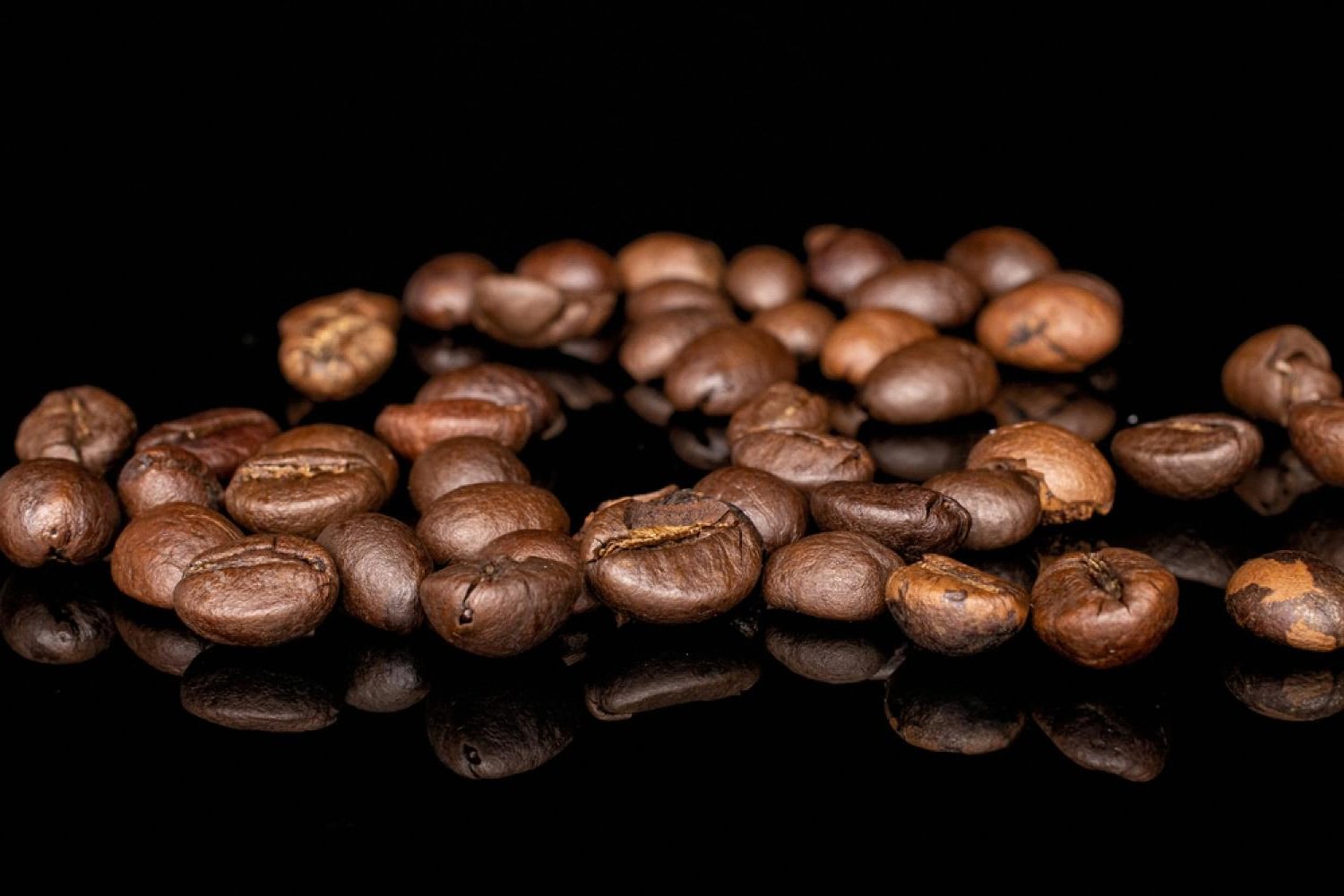 Freshly roasted specialty coffee beans used for V60 brewing in the UAE